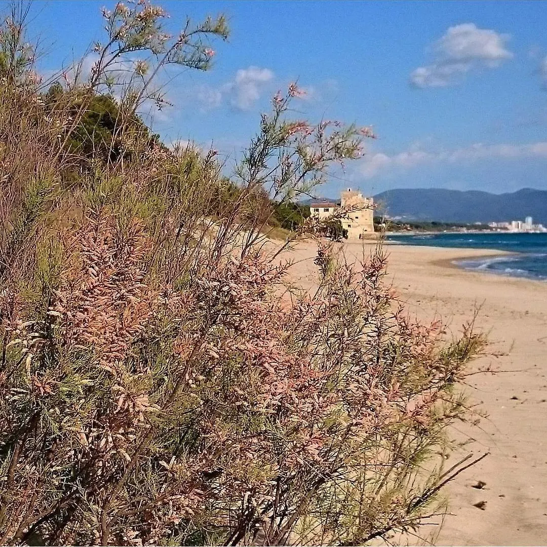 Apartamento Casa Vicino Al Mare Per Famiglie Rosignano Solvay 0*,
